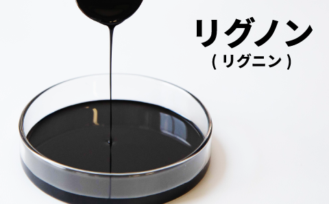 リグノン(リグニン)